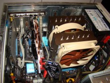 Noctua_real_2_