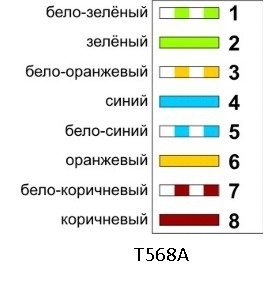 T568A